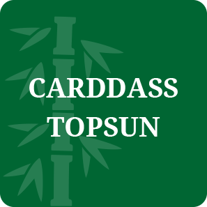 CARDDASS / TOPSUN