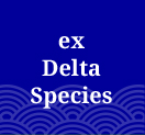 ex / Delta Species